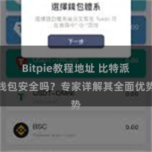 Bitpie教程地址 比特派钱包安全吗？专家详解其全面优势