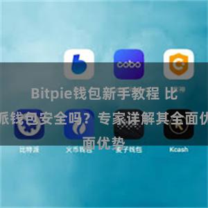 Bitpie钱包新手教程 比特派钱包安全吗？专家详解其全面优势