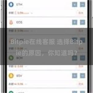 Bitpie在线客服 选择Bitpie的原因，你知道吗？