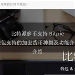 比特派多币支持 Bitpie钱包支持的加密货币种类及功能介绍