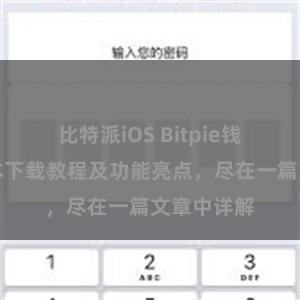 比特派iOS Bitpie钱包最新版本下载教程及功能亮点，尽在一篇文章中详解