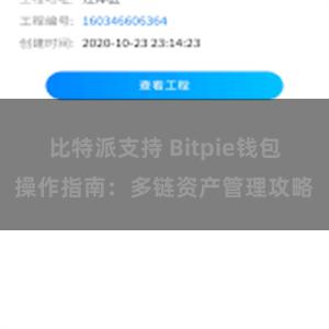 比特派支持 Bitpie钱包操作指南：多链资产管理攻略