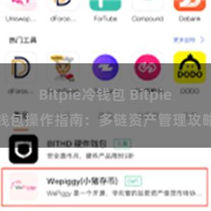 Bitpie冷钱包 Bitpie钱包操作指南：多链资产管理攻略