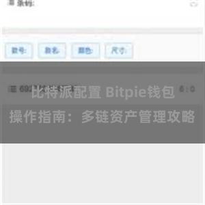 比特派配置 Bitpie钱包操作指南：多链资产管理攻略