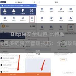 Bitpie安全钱包 比特派钱包多链资产管理技巧：全面攻略