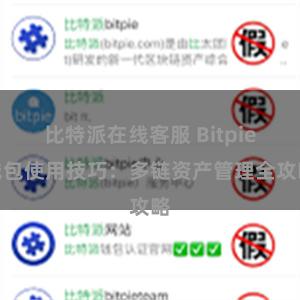 比特派在线客服 Bitpie钱包使用技巧：多链资产管理全攻略