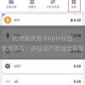 比特派资源 Bitpie钱包使用技巧：多链资产管理全攻略