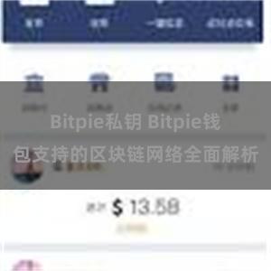 Bitpie私钥 Bitpie钱包支持的区块链网络全面解析