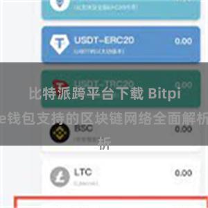 比特派跨平台下载 Bitpie钱包支持的区块链网络全面解析