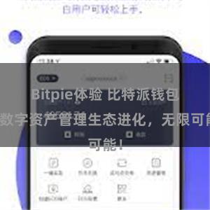 Bitpie体验 比特派钱包：数字资产管理生态进化，无限可能！