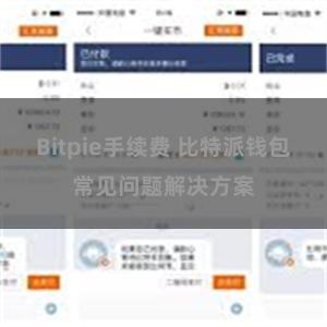 Bitpie手续费 比特派钱包常见问题解决方案