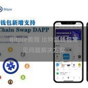 Bitpie教程 比特派钱包常见问题解决方案