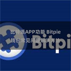 比特派APP功能 Bitpie钱包常见问题解决方法