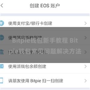 Bitpie钱包新手教程 Bitpie钱包常见问题解决方法