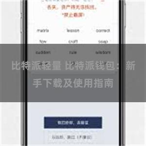 比特派轻量 比特派钱包：新手下载及使用指南