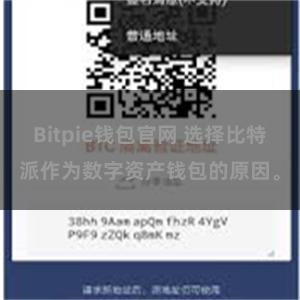 Bitpie钱包官网 选择比特派作为数字资产钱包的原因。