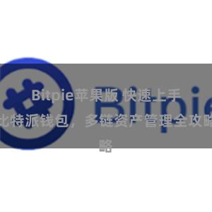 Bitpie苹果版 快速上手比特派钱包，多链资产管理全攻略