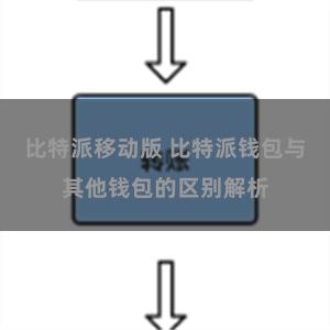 比特派移动版 比特派钱包与其他钱包的区别解析