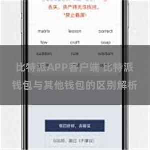 比特派APP客户端 比特派钱包与其他钱包的区别解析