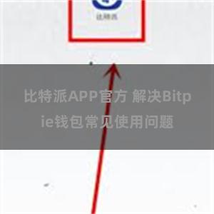 比特派APP官方 解决Bitpie钱包常见使用问题