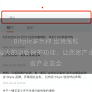 Bitpie多币种 比特派钱包：强大的隐私保护功能，让您资产更安全