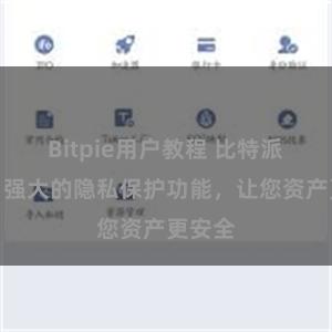 Bitpie用户教程 比特派钱包：强大的隐私保护功能，让您资产更安全