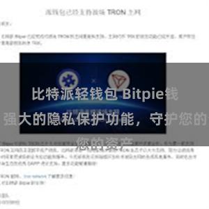 比特派轻钱包 Bitpie钱包：强大的隐私保护功能，守护您的资产