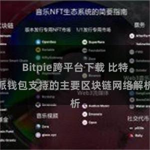 Bitpie跨平台下载 比特派钱包支持的主要区块链网络解析