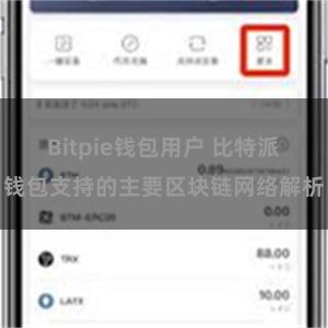 Bitpie钱包用户 比特派钱包支持的主要区块链网络解析