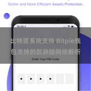 比特派系统支持 Bitpie钱包支持的区块链网络解析