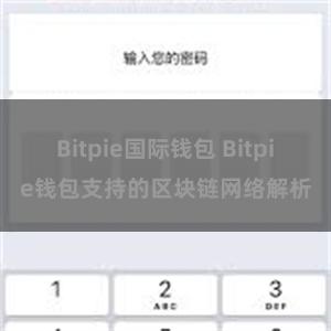 Bitpie国际钱包 Bitpie钱包支持的区块链网络解析