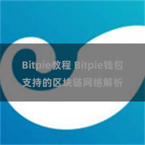 Bitpie教程 Bitpie钱包支持的区块链网络解析