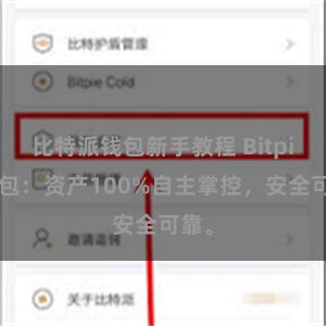 比特派钱包新手教程 Bitpie钱包：资产100%自主掌控，安全可靠。