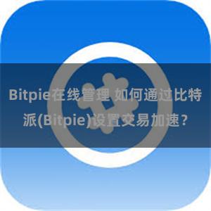 Bitpie在线管理 如何通过比特派(Bitpie)设置交易加速？