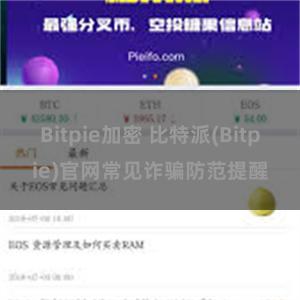 Bitpie加密 比特派(Bitpie)官网常见诈骗防范提醒