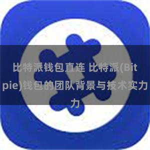 比特派钱包直连 比特派(Bitpie)钱包的团队背景与技术实力