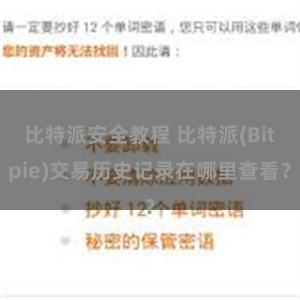 比特派安全教程 比特派(Bitpie)交易历史记录在哪里查看？