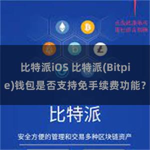 比特派iOS 比特派(Bitpie)钱包是否支持免手续费功能？