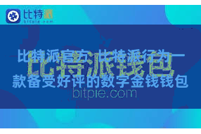 比特派官方  比特派行为一款备受好评的数字金钱钱包