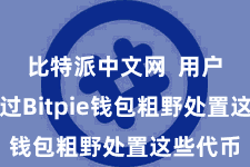 比特派中文网  用户不错通过Bitpie钱包粗野处置这些代币