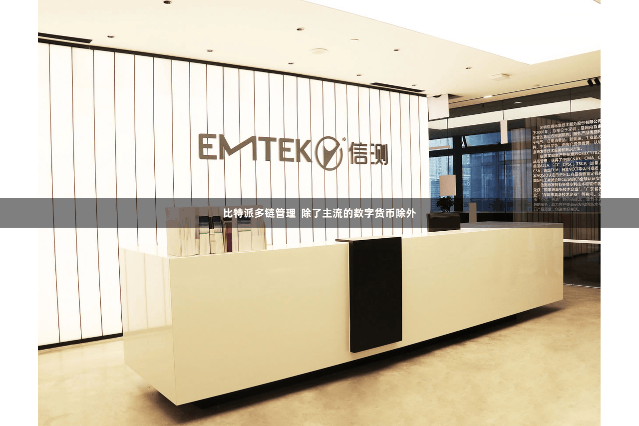 比特派多链管理  除了主流的数字货币除外